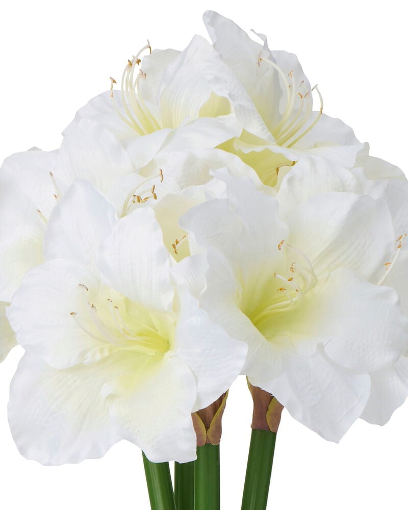 Amaryllis Luxe 68 cm Hvit kunstige blomster med flere store hvite blomster og grønne stilker.