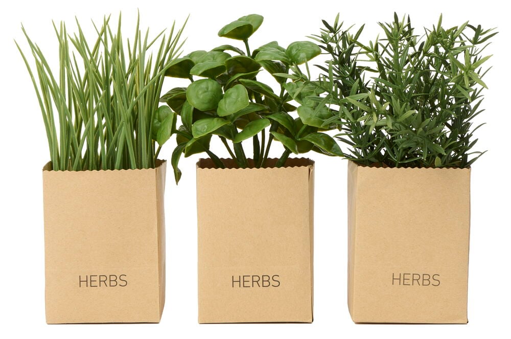 Yrtit 3 osaa: Kolme keinotekoista vihreää ruukkuyrttiä ruskeissa paperipusseissa, joissa lukee "HERBS".