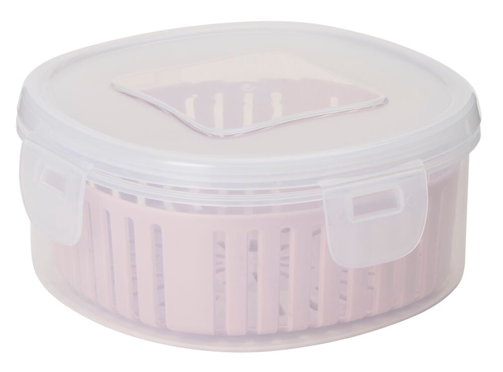 Salaattirasia Leila - 2