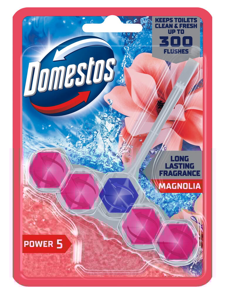 Toalettblock Domestos Power 5