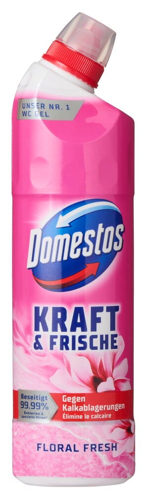 Toilettenreiniger Domestos