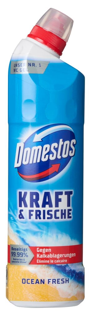 Toilettenreiniger Domestos