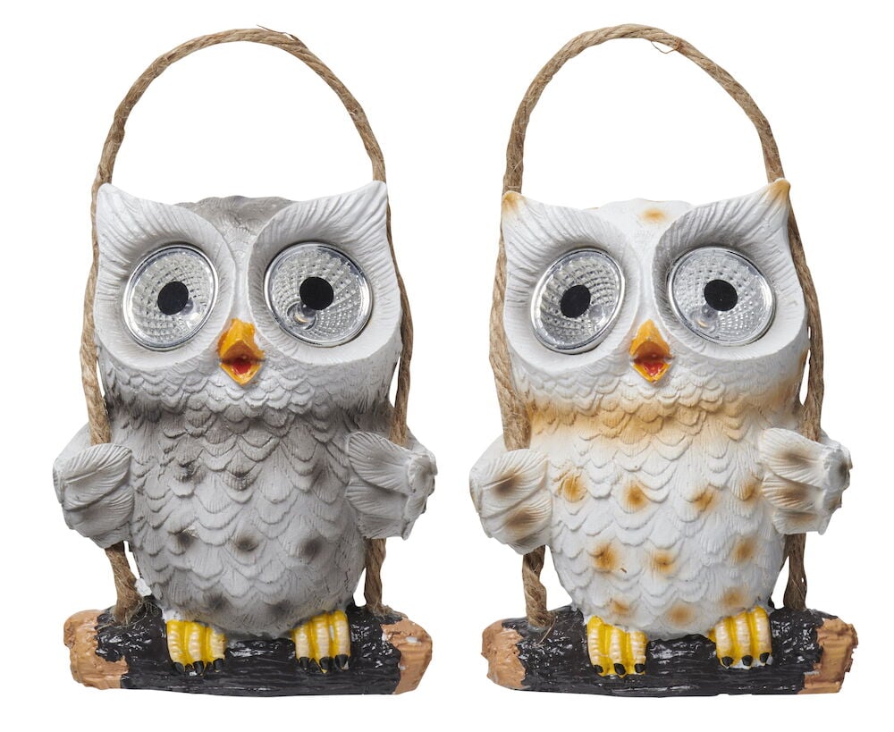 To ugler med solcellelys i øynene.