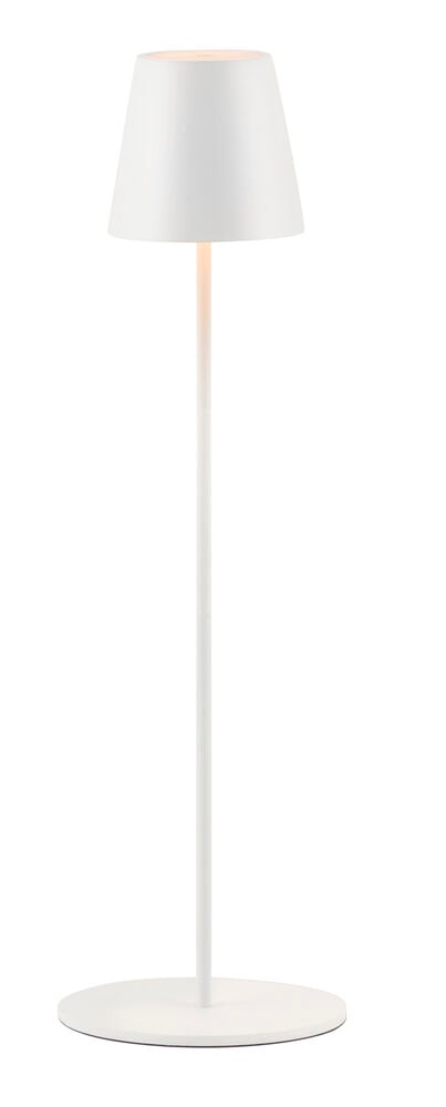 Ladattava lattiavalaisin Tolosa - 2