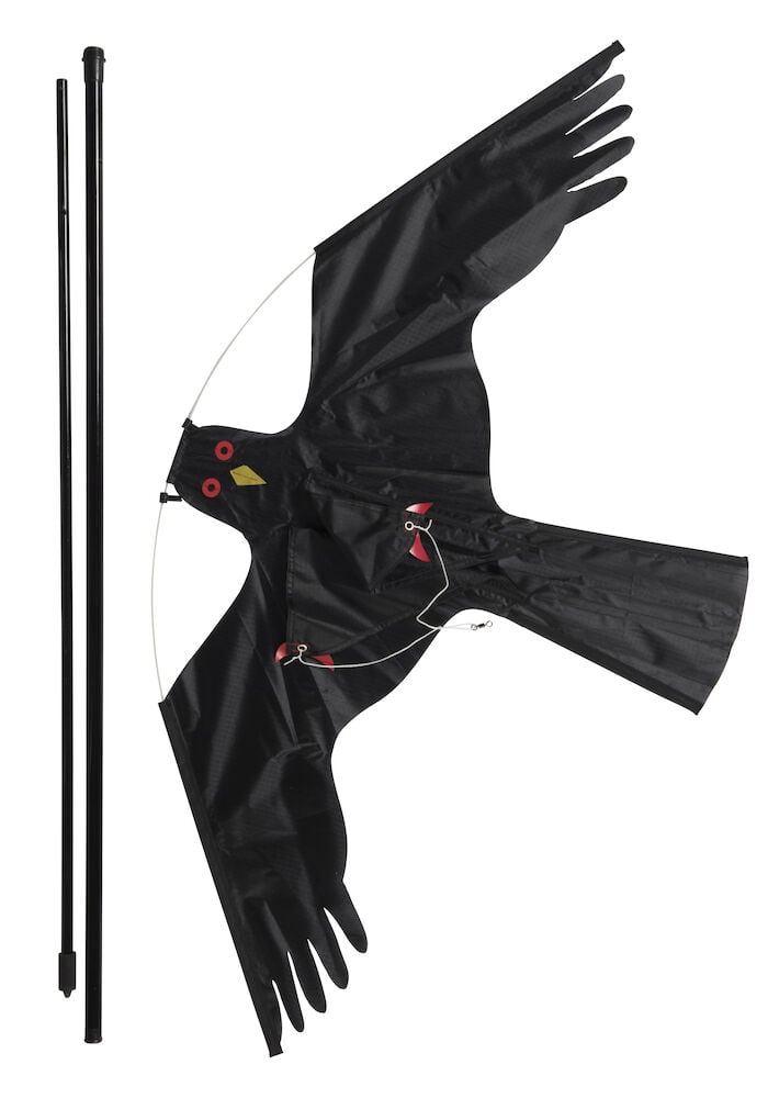 Musta lohikäärme, joka muistuttaa petolintua teleskooppimastolla.