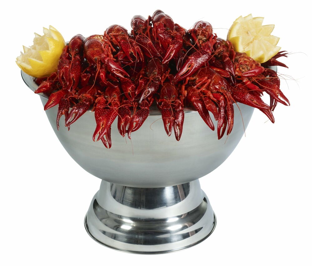 Kräftor i champagnekylare med citronskivor.