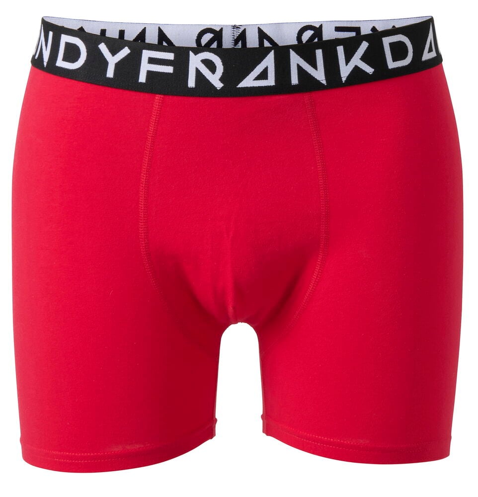 Bokser Frank Dandy - 2