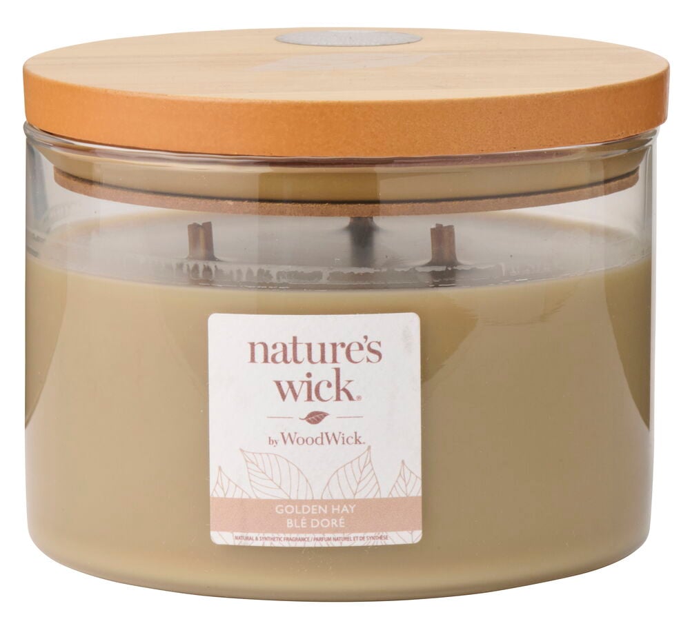 Doftljus WoodWick 433 g Golden Hay, ett beige ljus i en klar glasburk med flera vekar och ett trälock.
