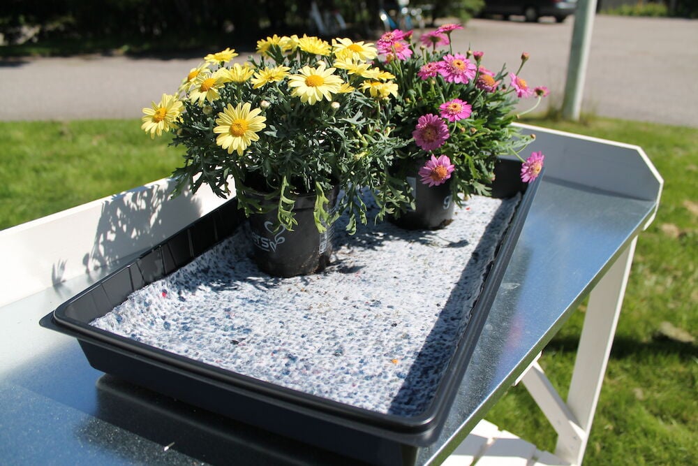 Kukka-astiat kastelumatolla muovialustalla ulkona.