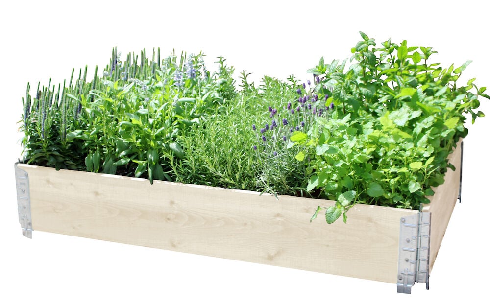 Rektangulär odlingslåda av trä fylld med växter.