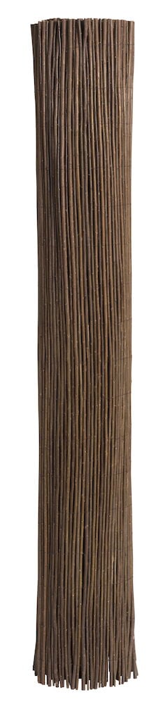 Et opprullet innsynsvern av brune pilekvister.