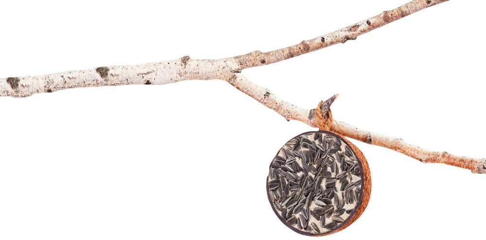 Fylld kokosnötshalva - 2