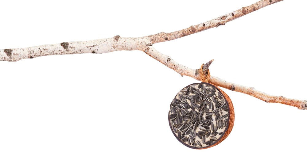 Fylld kokosnötshalva - 3