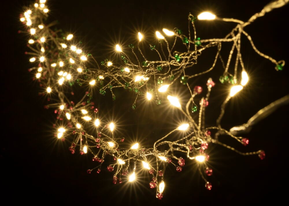 Ljusslinga Firecracker - 19