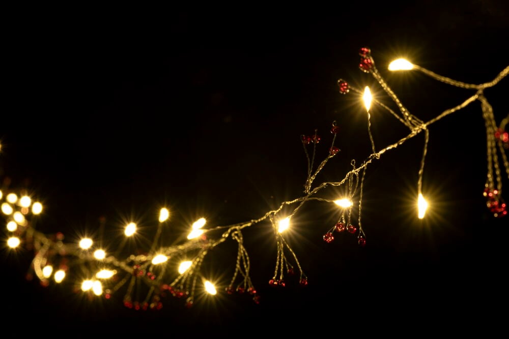 Ljusslinga Firecracker - 5