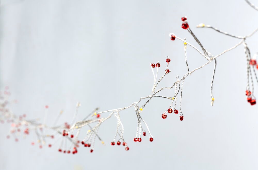 Ljusslinga Firecracker - 7