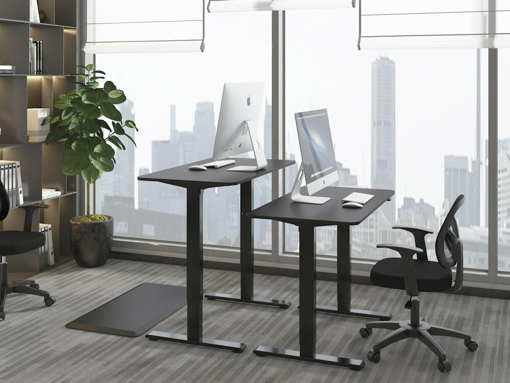 Zwei schwarze höhenverstellbare Schreibtische mit Computern.