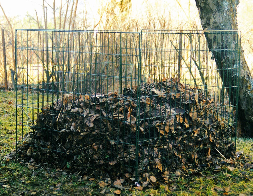 Schwarzes Kompostgitter mit Blättern im Garten.