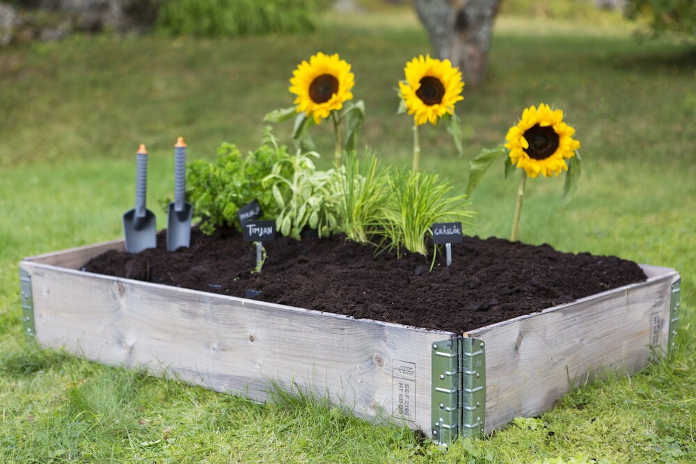 Odlingslåda i trä fylld med jord och växter.
