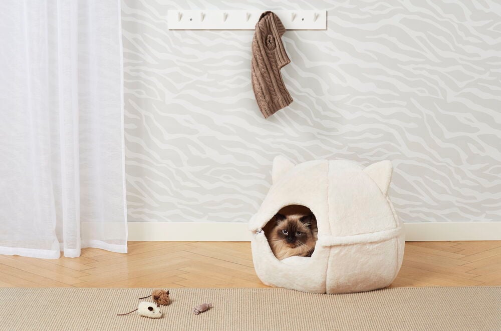 Katt i vit plyschbädd med öron på golv.