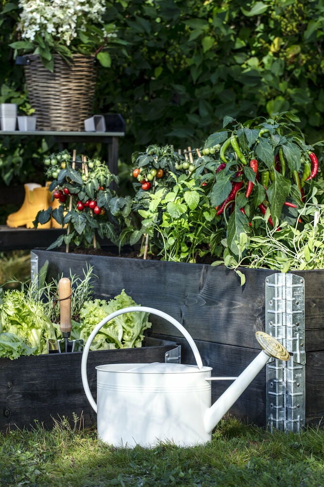 Istutuslapio vihannesten joukossa kohotetussa viljelylaatikossa.