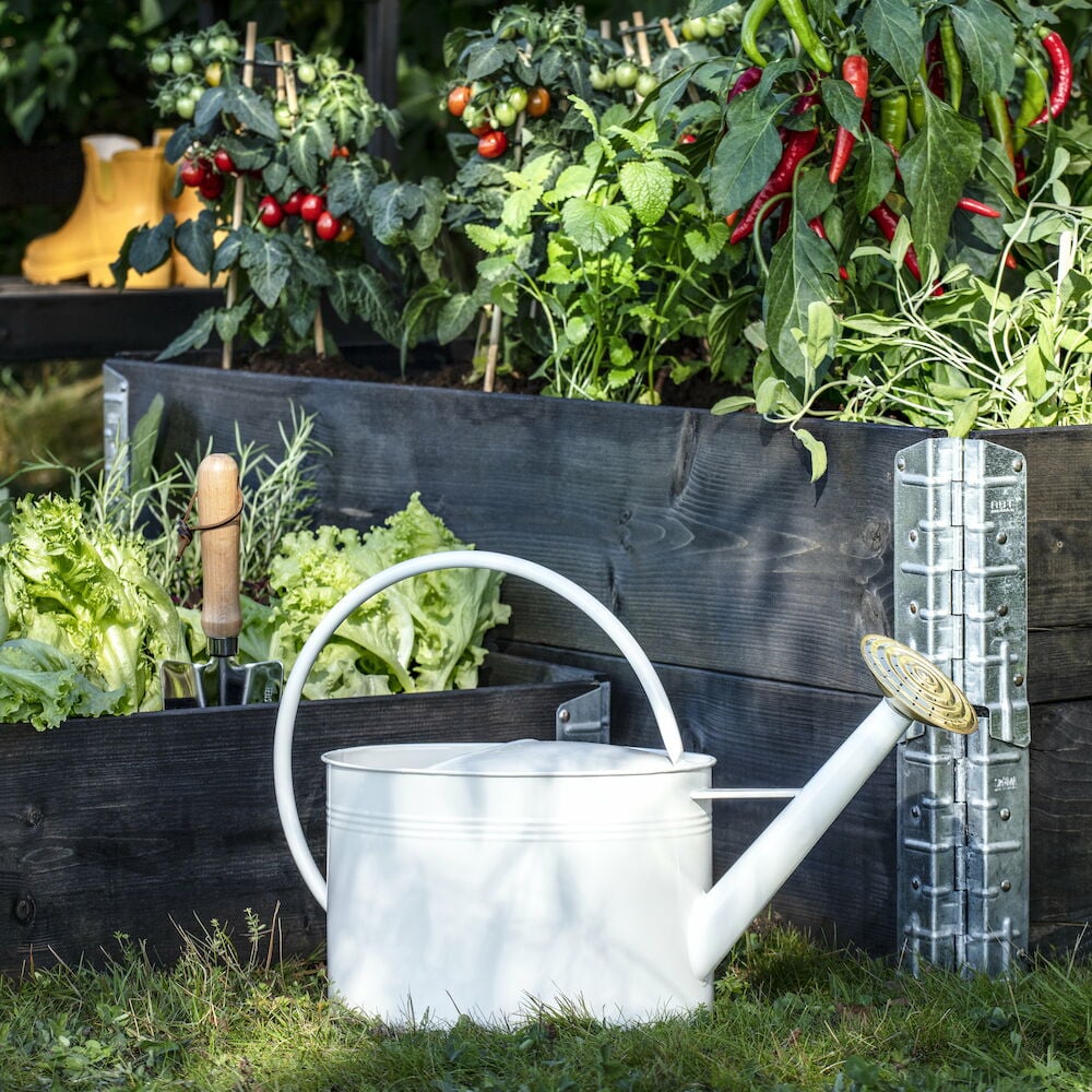 Plantespade i svart dyrkingskasse blant grønnsaker.