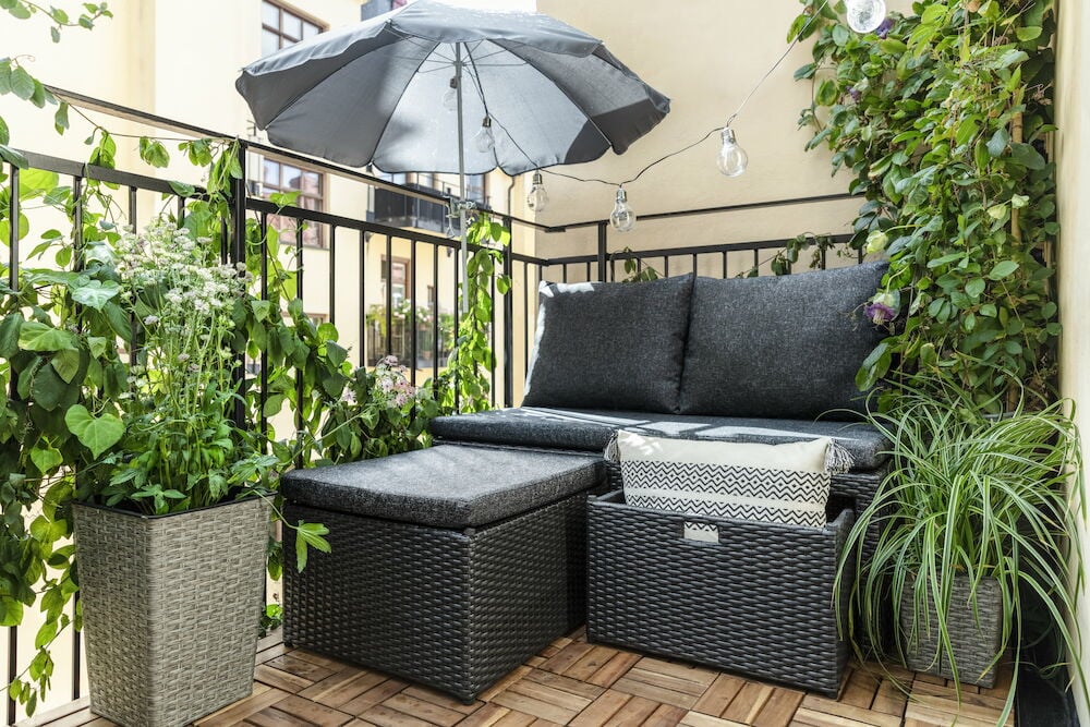 Musta polyrottinkinen lounge-sohva tyynyillä.