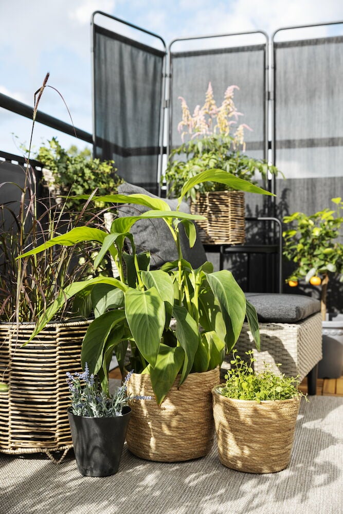 To runde potter i kunstrotting med grønne planter.