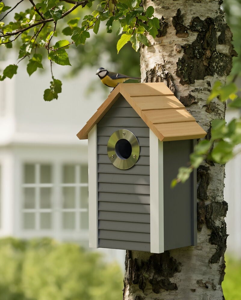 Linnunpönttö 16x13,5x26 cm FSC-merkittyä puuta, harmaa, luonnonpuu katto, valkoinen lista, puussa.