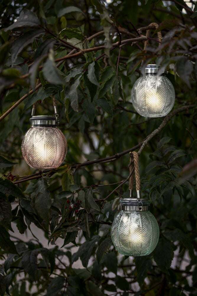 Drei Solarglaslampen hängen in Bäumen.