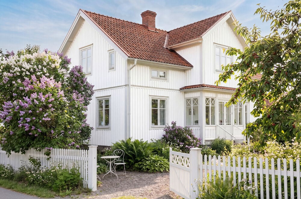 Ett klassiskt vitt trähus med rött tegeltak, blommande syrenbuskar och ett vitt staket.