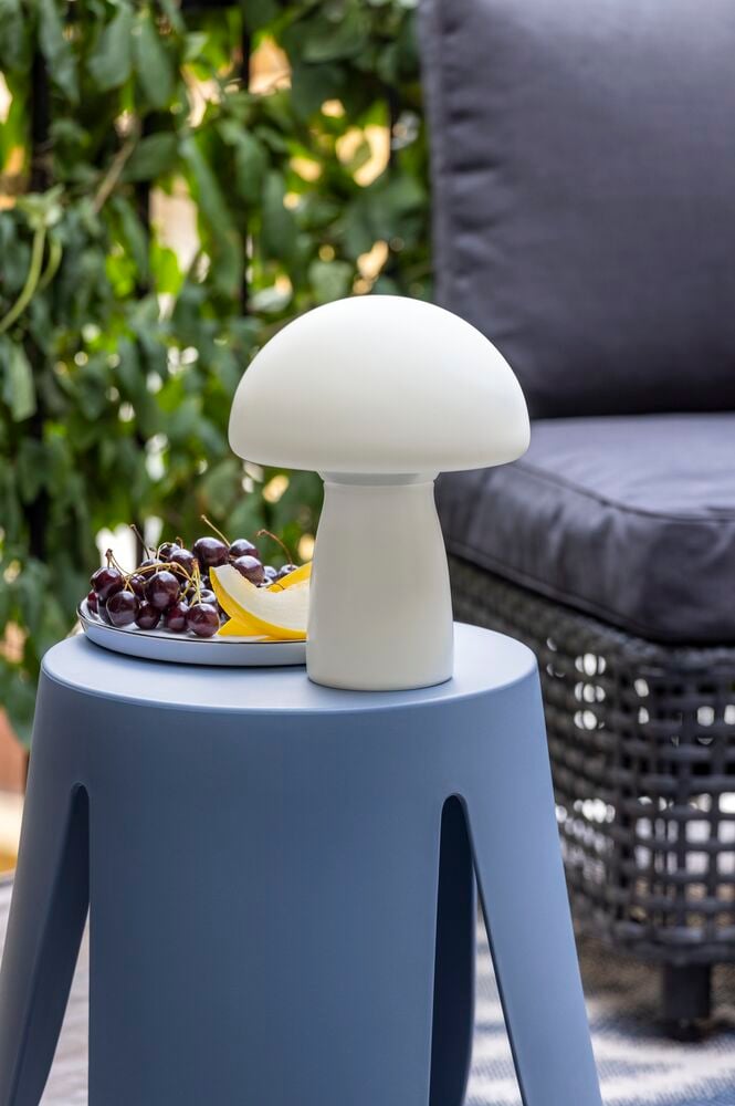 Lautanen Elsaform - 5