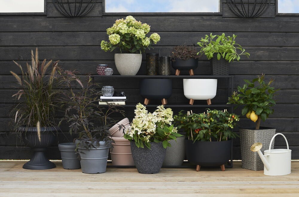 Svart potte i kunstrotting med planter utendørs.