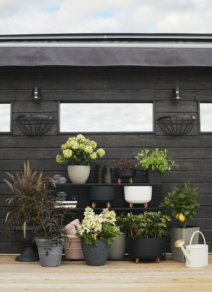 Flere potter med planter på veranda.