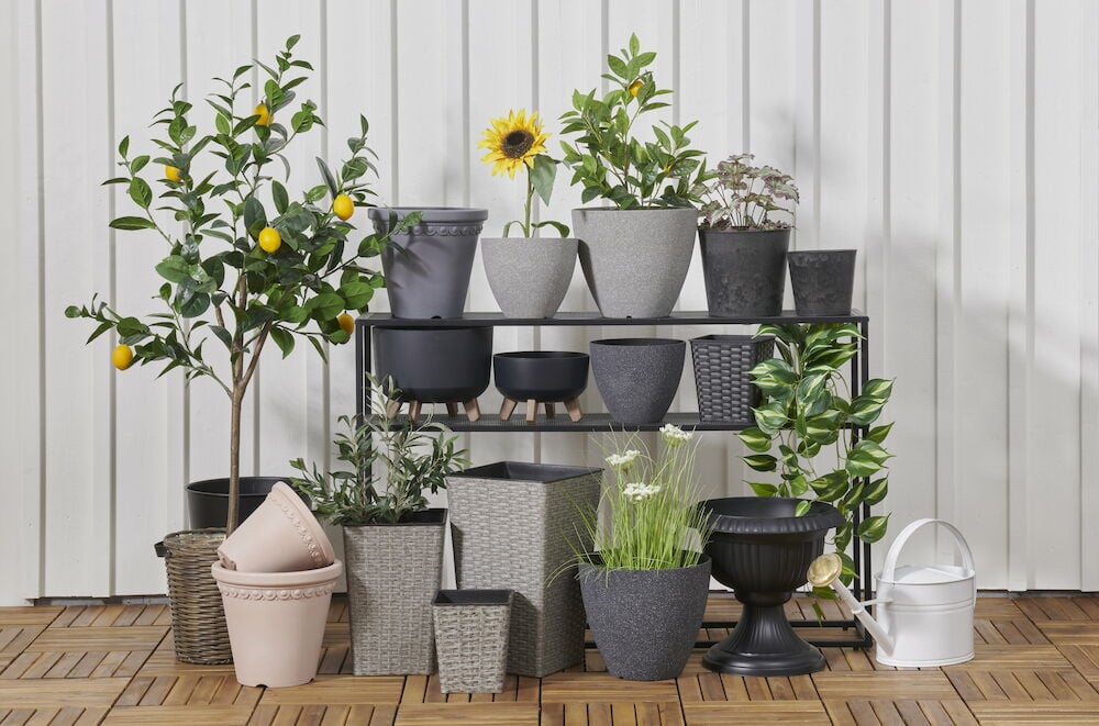 Svart kunstrottingkrukke med moderne design på trehylleplan.