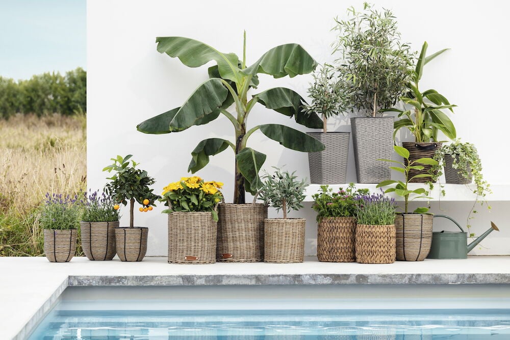 Brun kruka i konstrotting med läderhandtag.