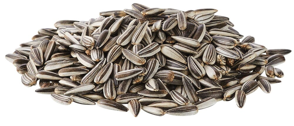 En hög med svarta och vita solrosfrön.