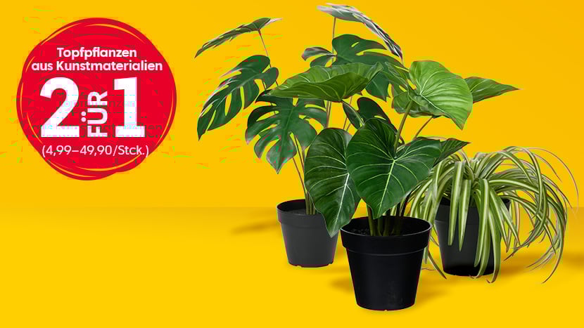 Topfpflanzen aus Kunstmaterialien 2 für 1. (Normalpreis 4,99–49,90/Stck.)