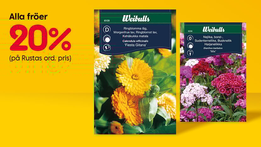 Alla fröer 20%.