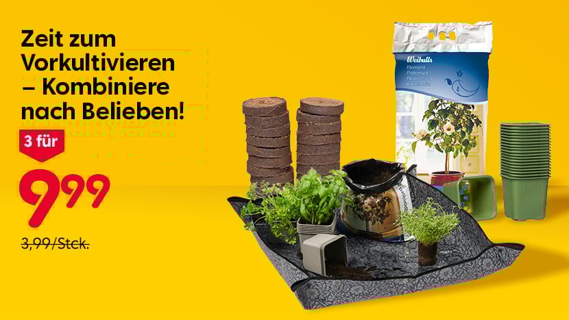 Zeit zum Vorkultivieren – Kombiniere nach Belieben! 3 für 9,99 (3,99/Stck.).