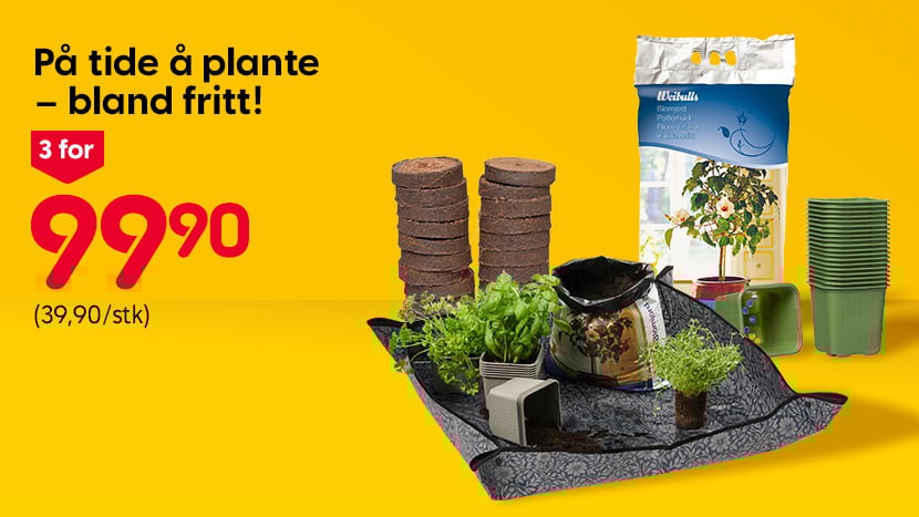 På tide å plante – bland fritt! 3 for 99,90. (Ord. pris 39,90/stk).