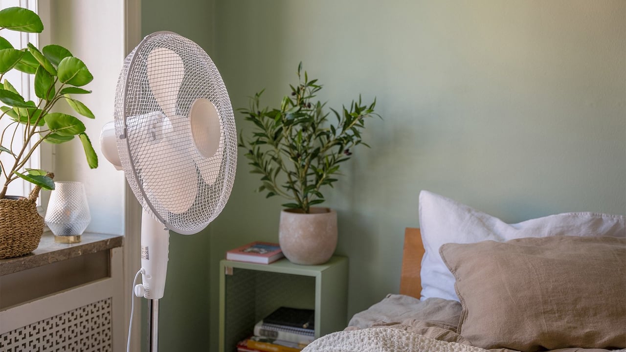 Golvfläkt bredvid säng och sängbord i ett sovrum med gröna väggar.