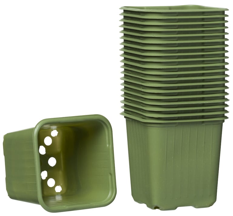 Plastiktopf 8x8 cm 20 er-Pack Grün Für die Vorkultivierung
