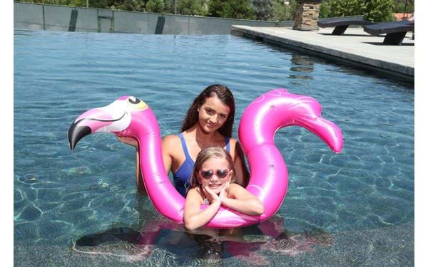Oppblåsbar vannleke Pool noodle Flamingo