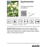 Syyshortensia 