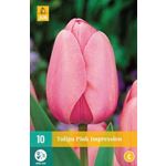 Kukkasipuli Tulip Pink Impression