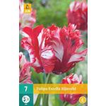 Kukkasipuli Tulip Estella Rijnveld