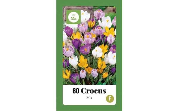 Blomsterlök Crocus mix 60 pcs