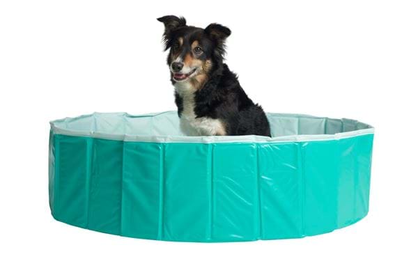 Koiran uima-allas Pet Club