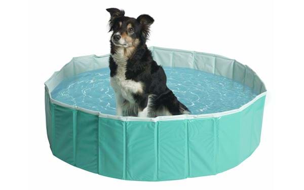 Koiran uima-allas Pet Club